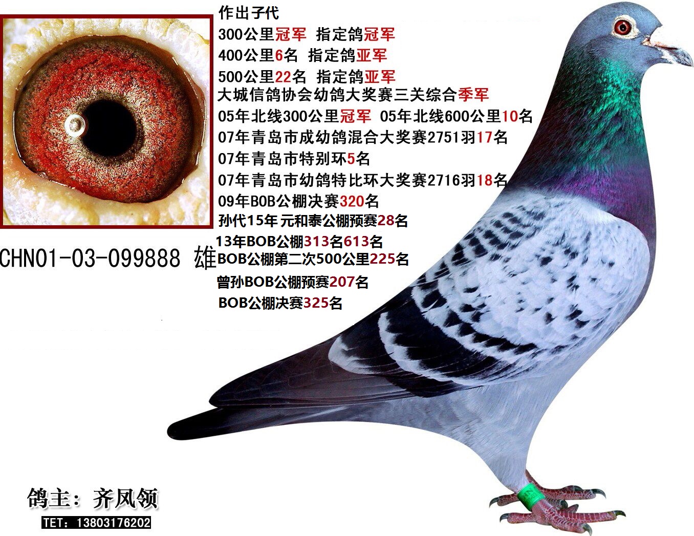 中国贝罗佛