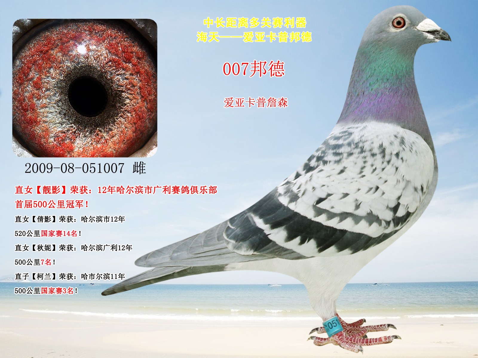 母:007邦德