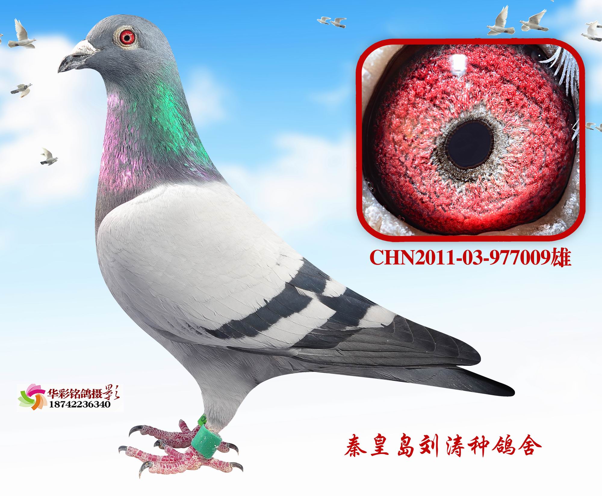 12괺ػʍu179
