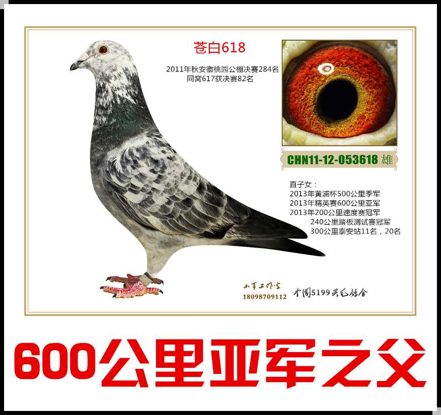 11갲҈@284