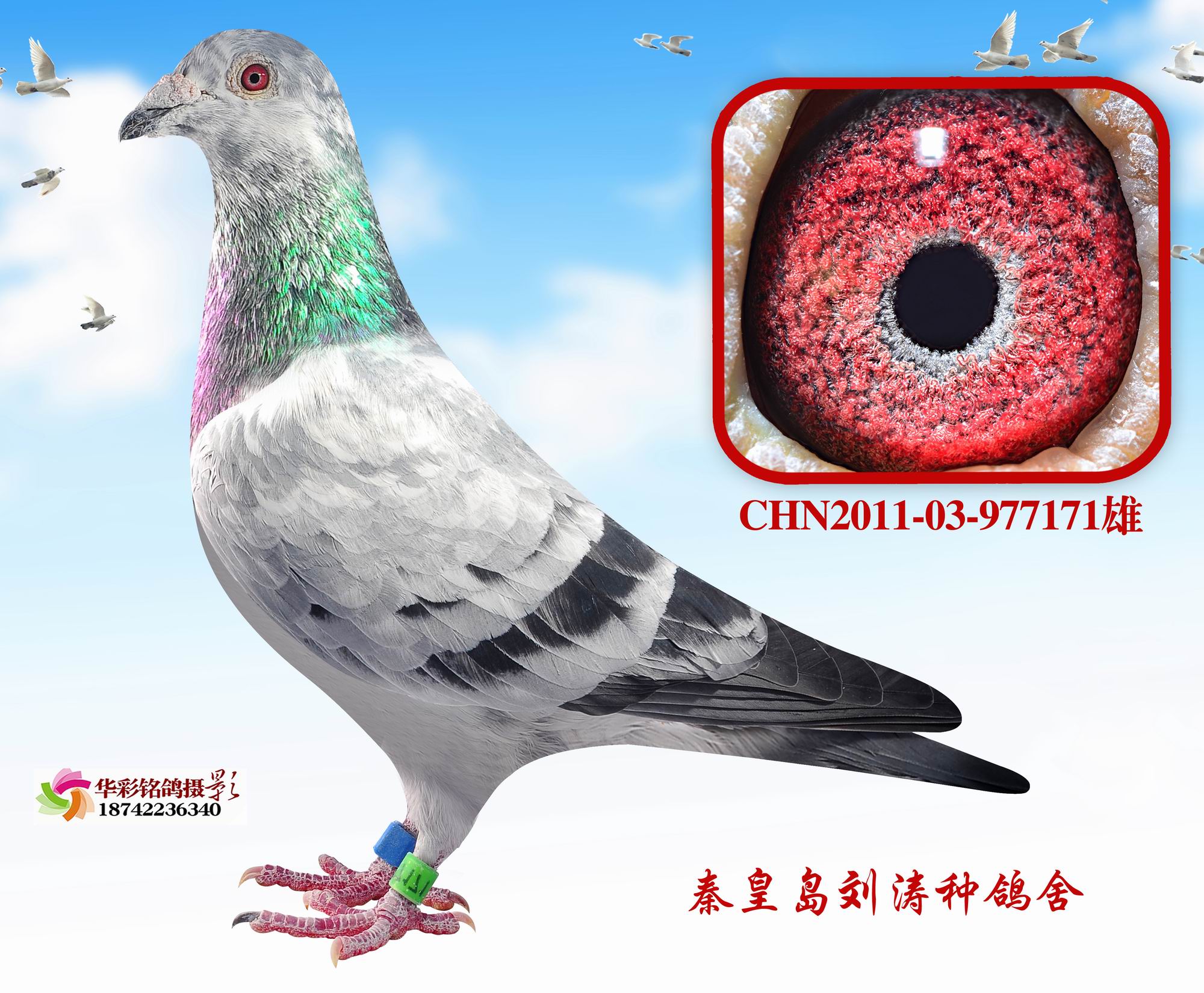 12괺ػʍu18