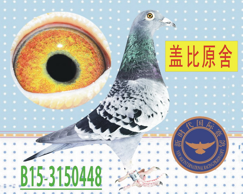 W늡ֱ