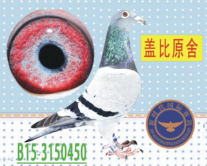 W늡ֱ