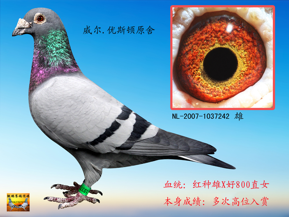 û42D(zhun)׌
