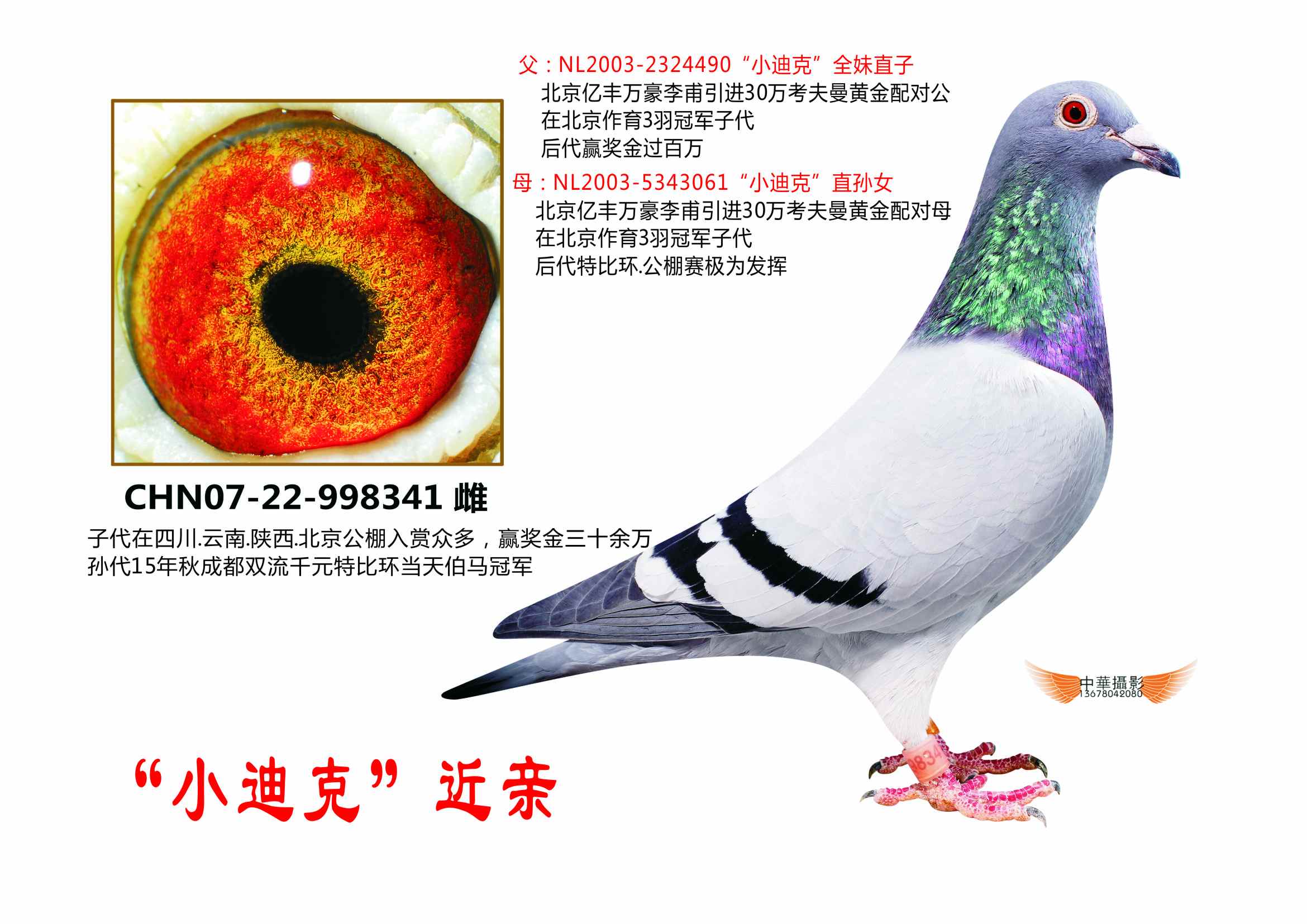 考夫曼"小迪克"