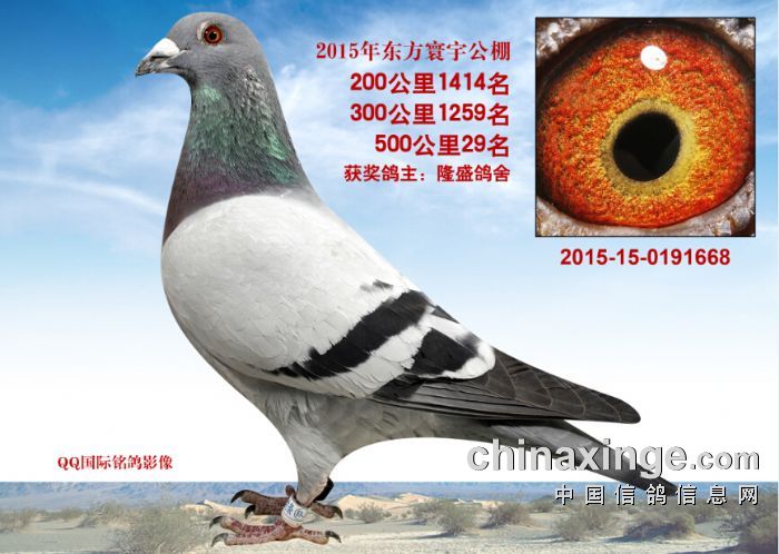 ����������29������