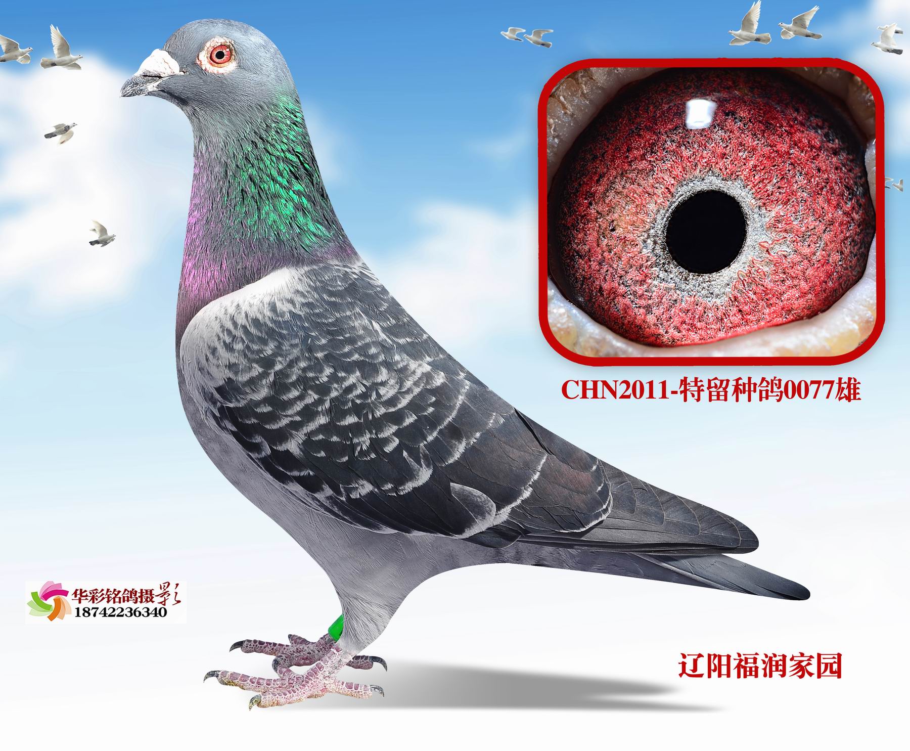 凡龙超级73
