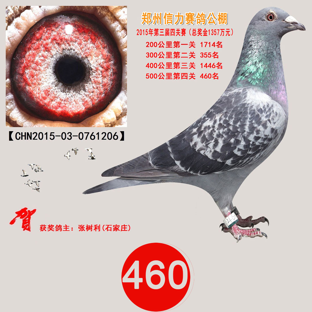 Qِ460
