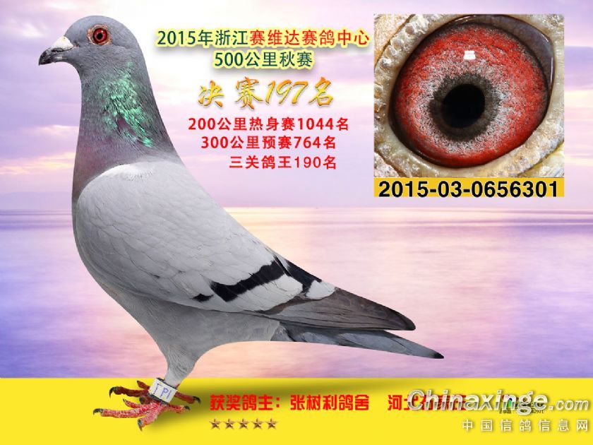 㽭ِS_(d)Qِ197