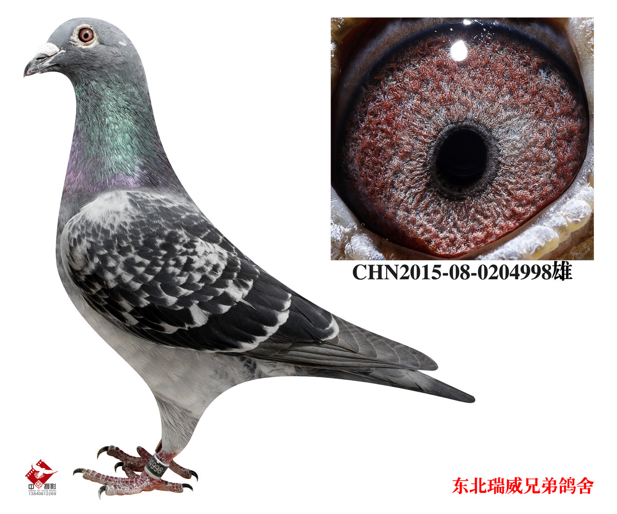 998A¡ӏ(qing)ِ49