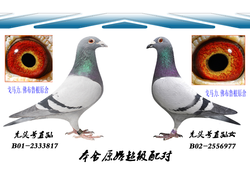 R䌦