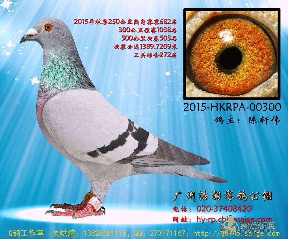 2015Vݺ502