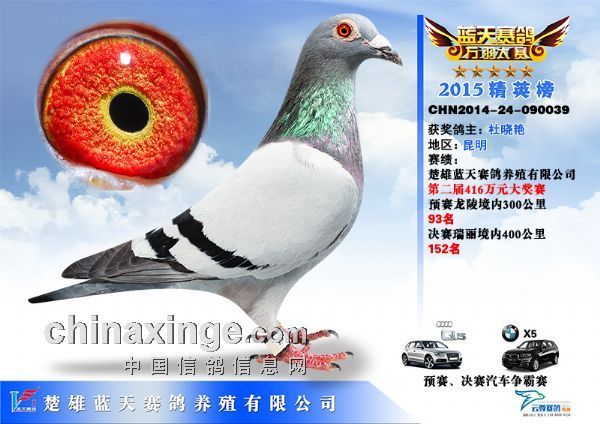 2015(yn){(ln)칫A(y)ِ93Qِ152