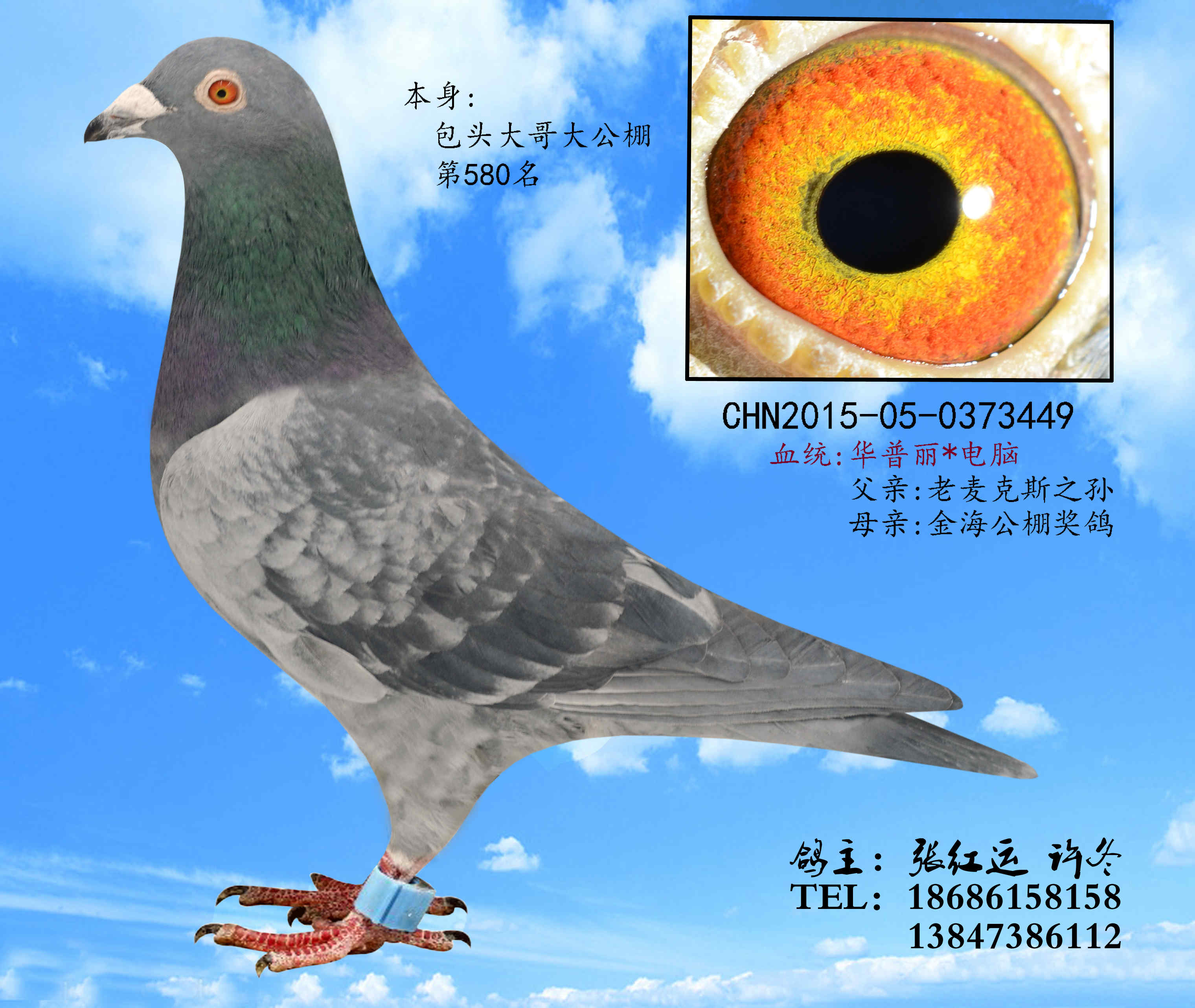 02麦克斯曾孙