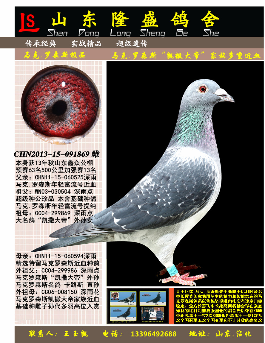 ɽ�����ڹ����ǿ��13��