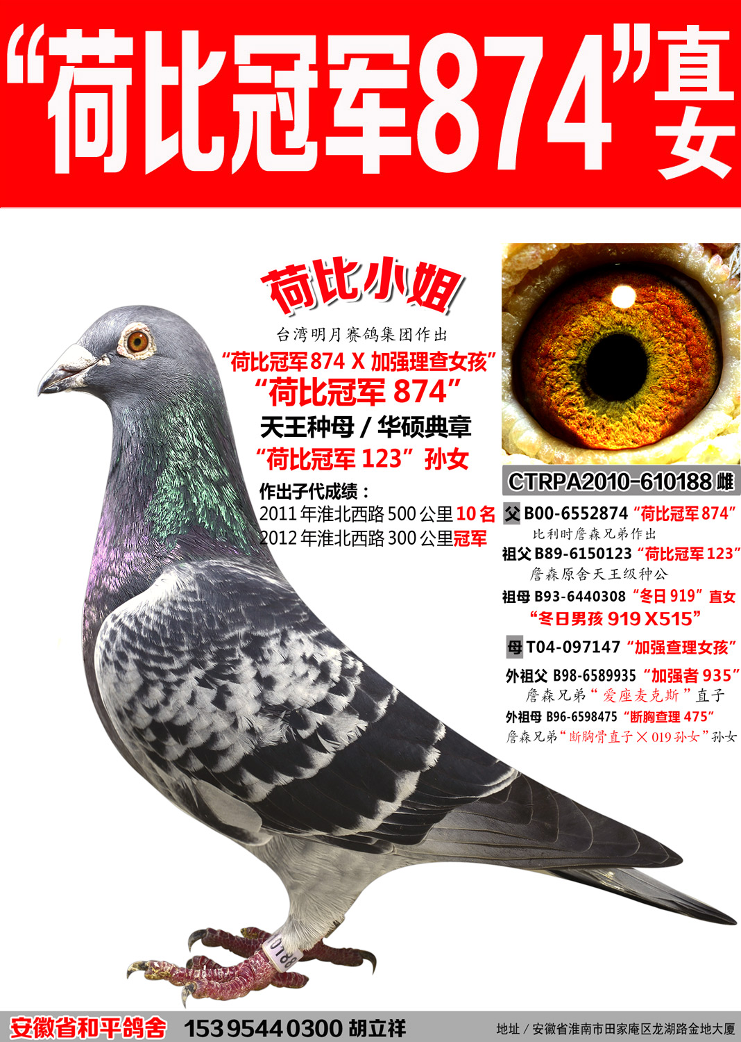 詹森麦克斯荷比冠军874直女【荷比小姐】