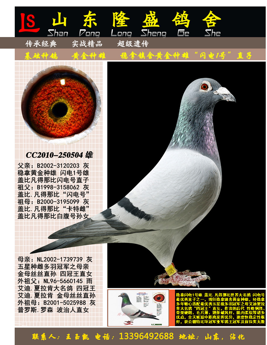 ����1��ֱ��