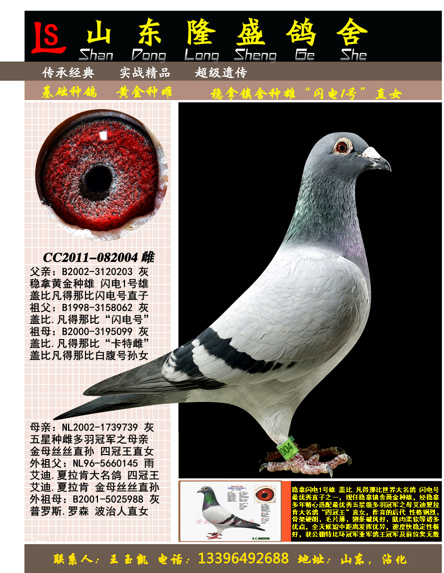 ����1��ֱŮ