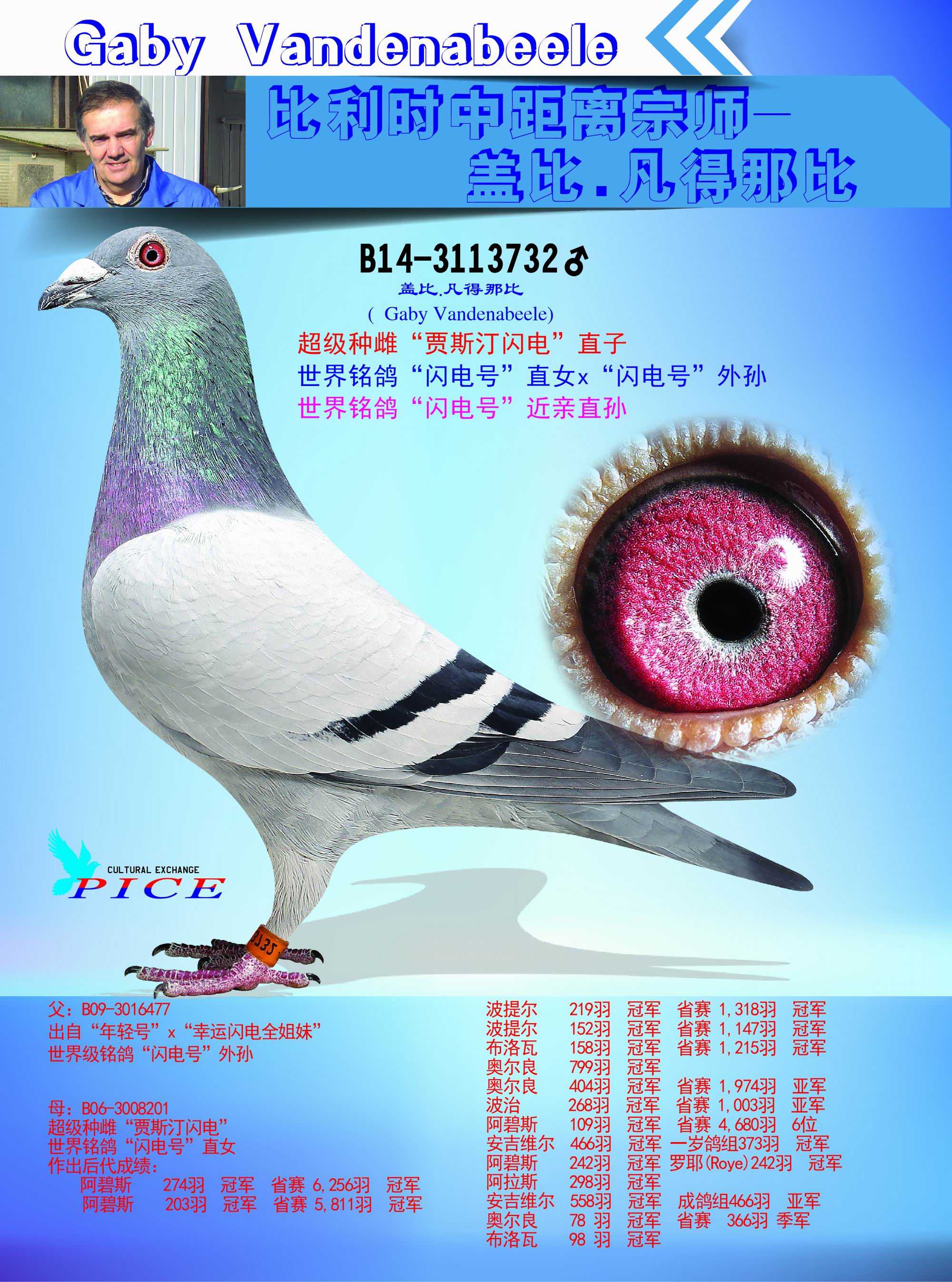 盖比"闪电号"直孙