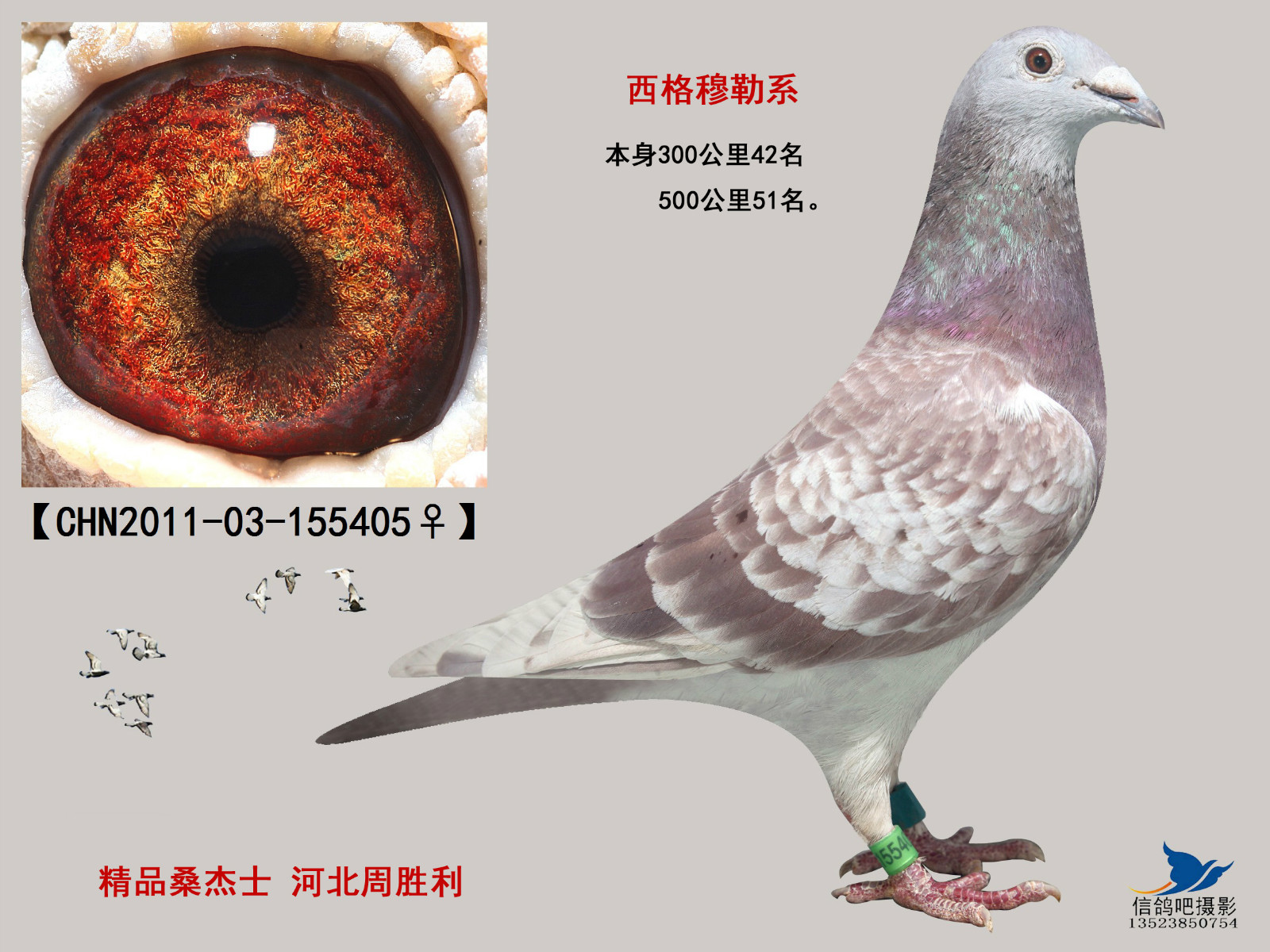 西格穆勒