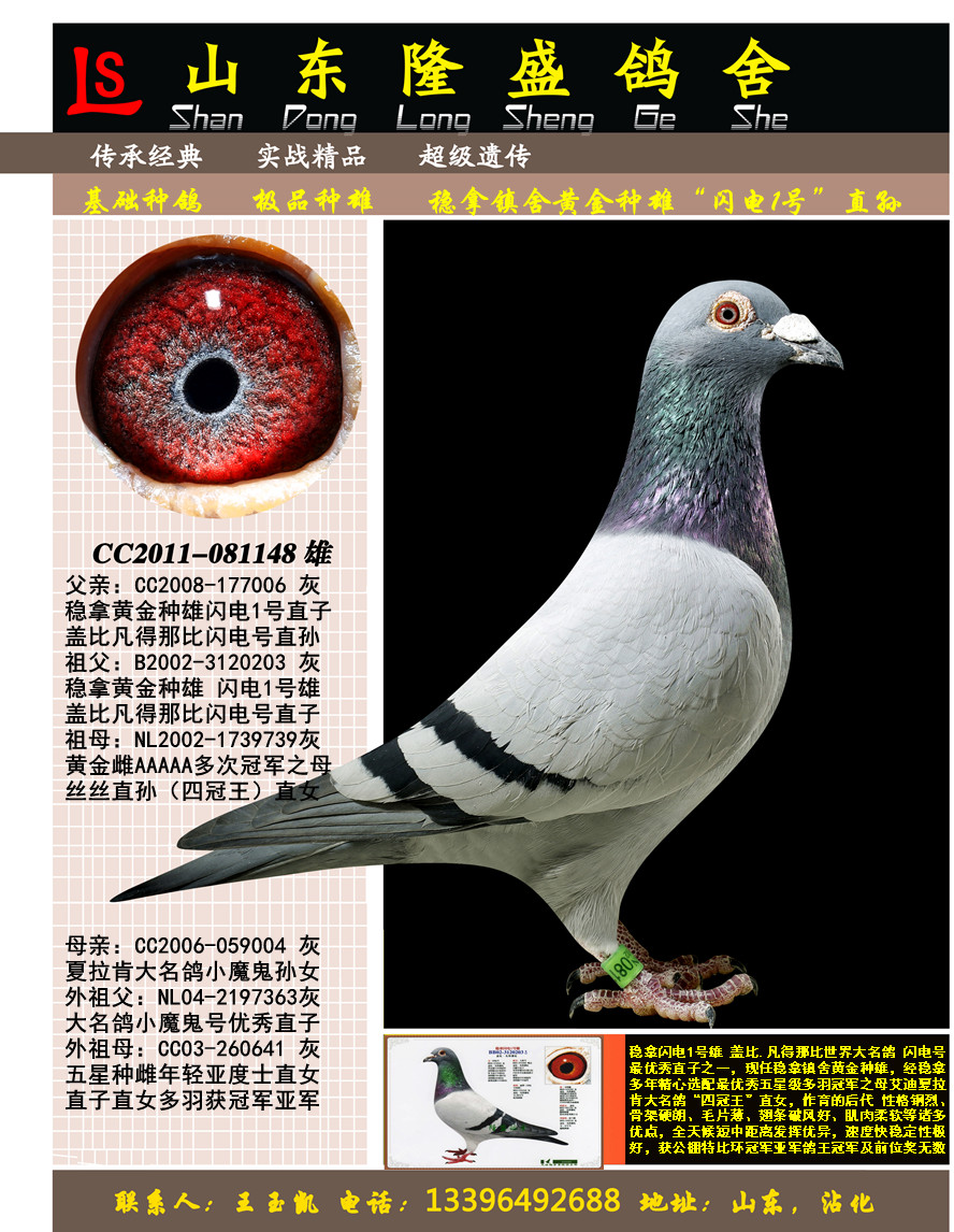 ����1��ֱ��