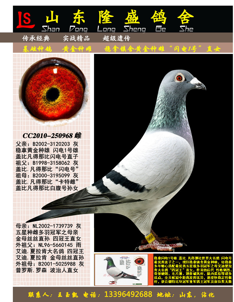 ����1��ֱŮ