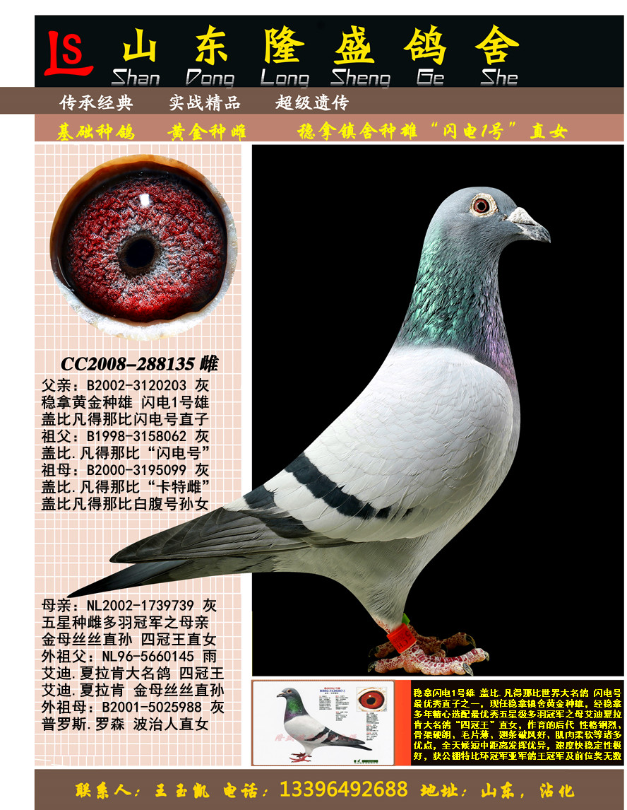 ����1��ֱŮ