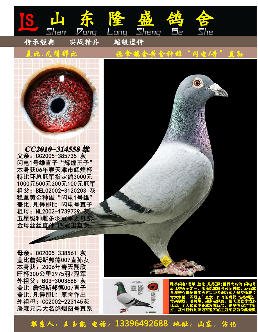 ����1��ֱ��