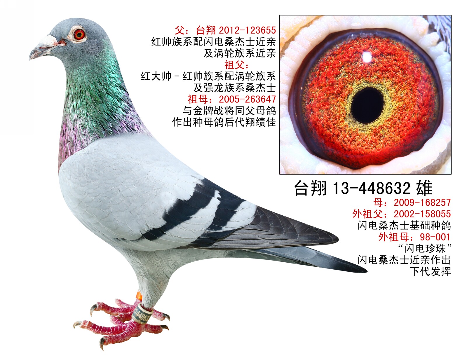 7777