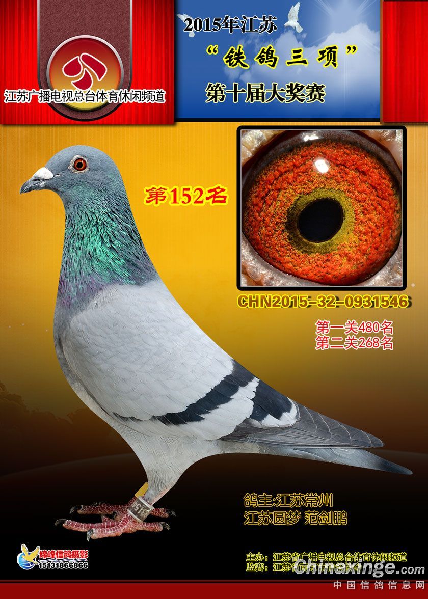 ܊     0931546-15