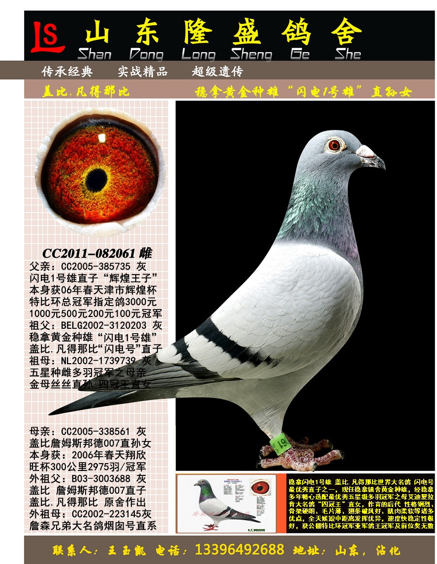 ����1��ֱ��Ů