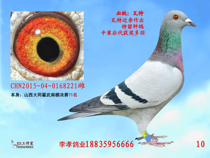 瓦特
