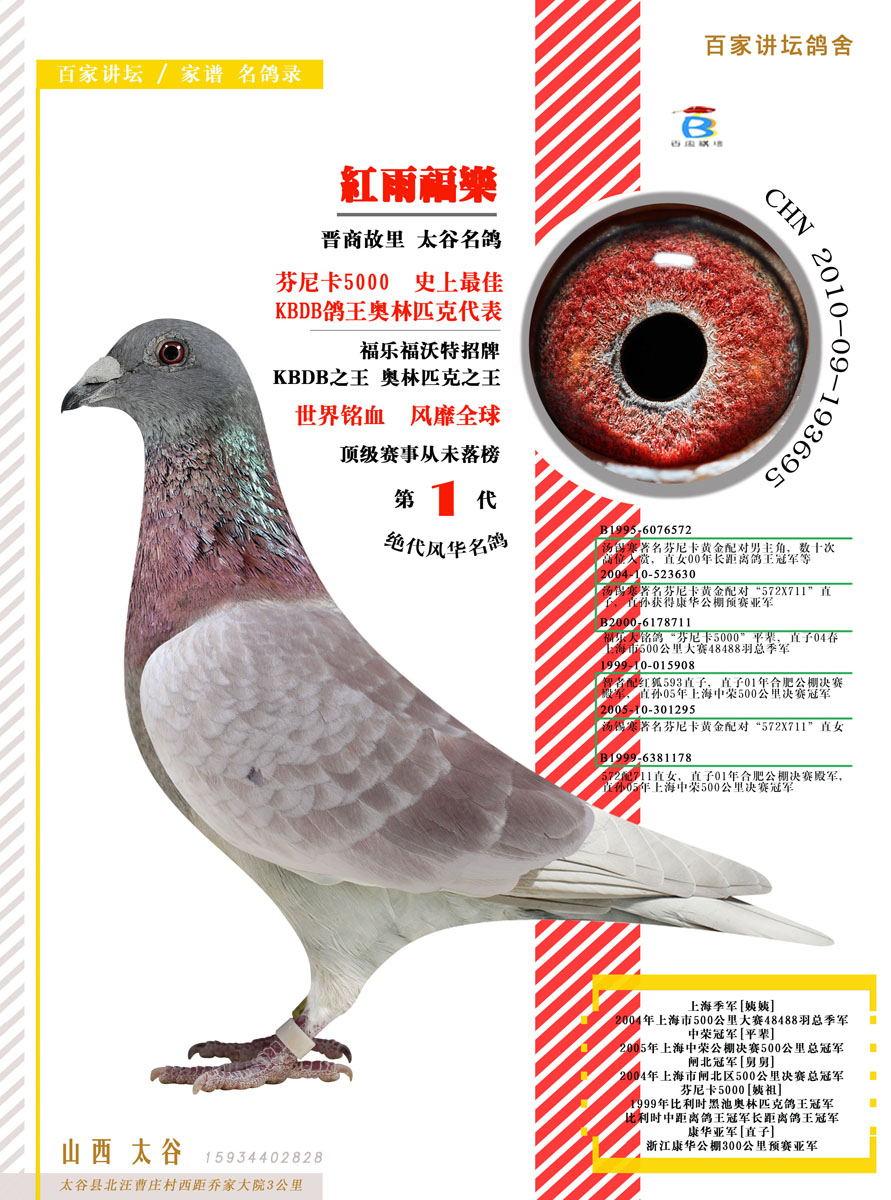 红色芬尼卡