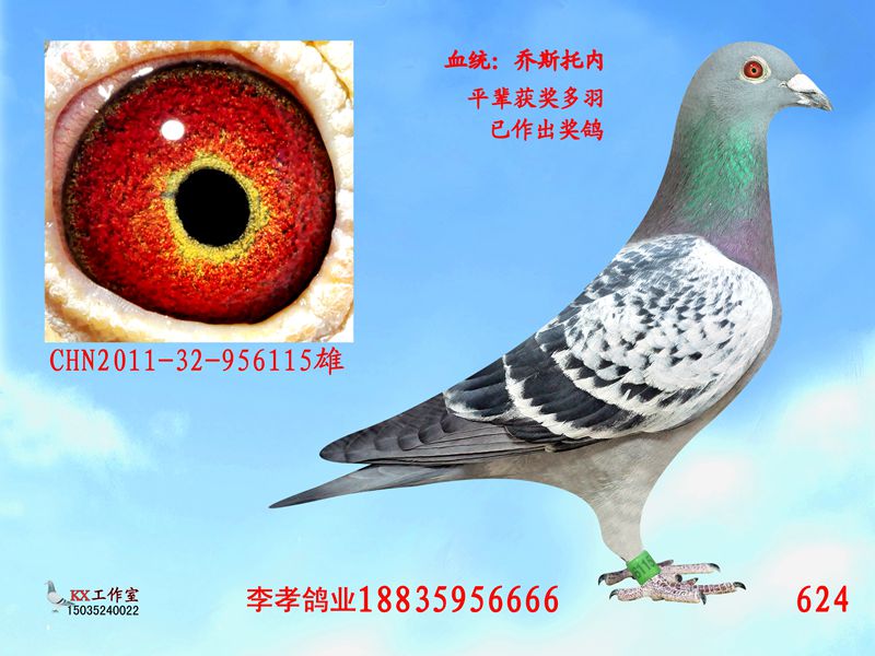 乔斯托内