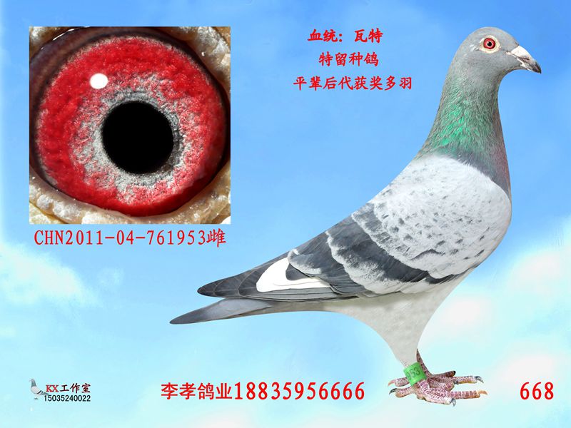 瓦特