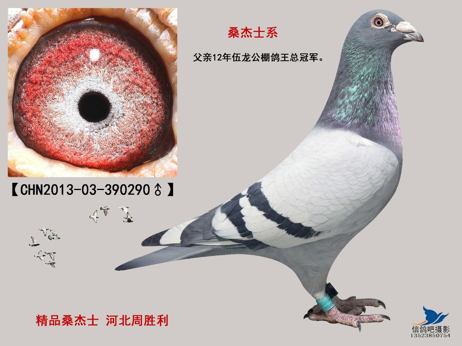 罗森波斯.桑杰士已售出