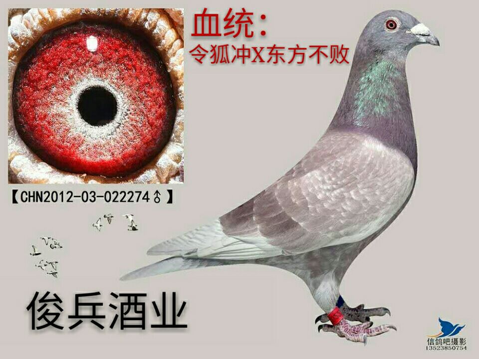 令狐冲*东方不败