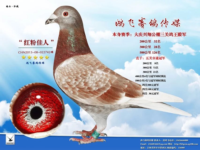 红粉佳人