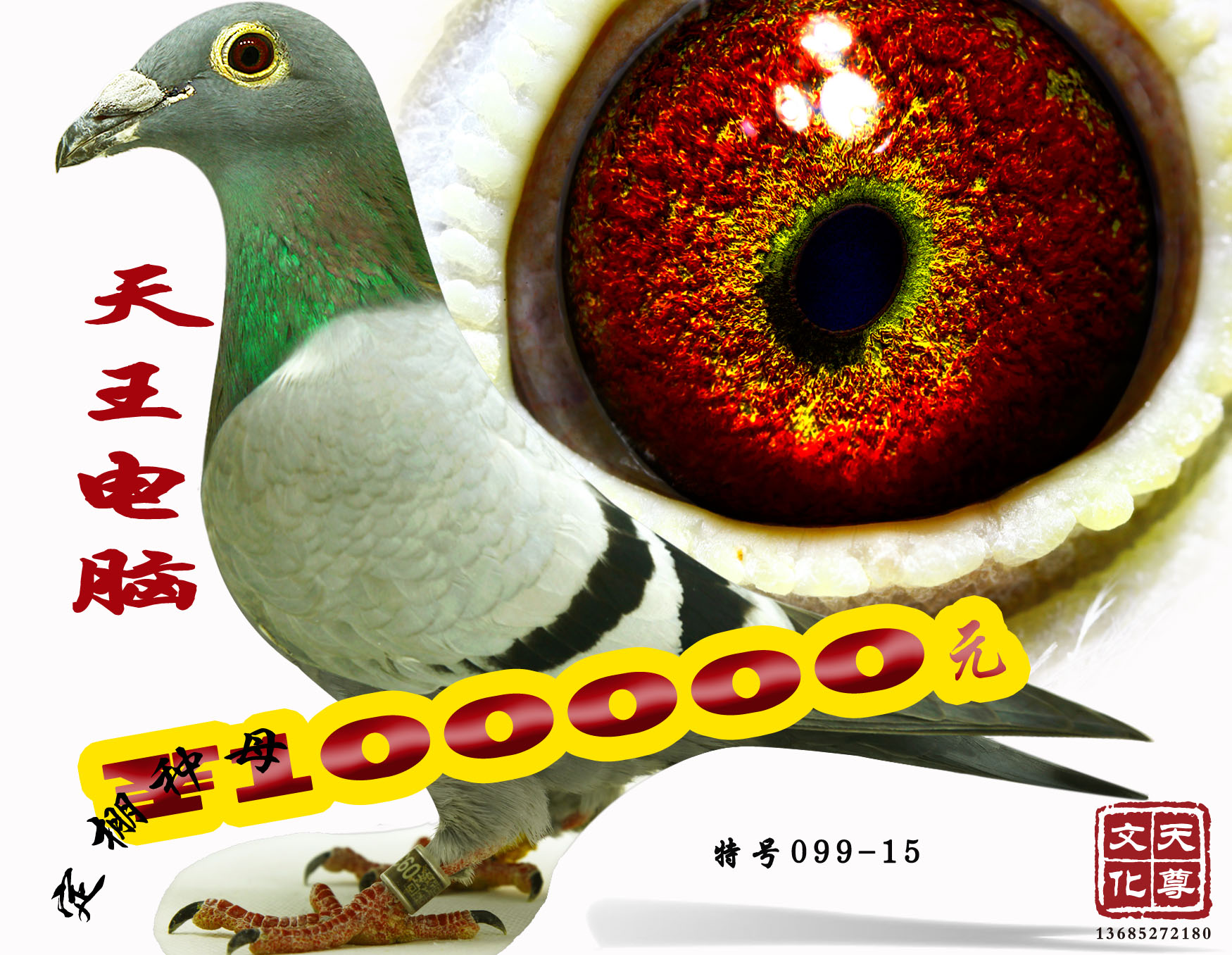 X      ̖(ho)099-15