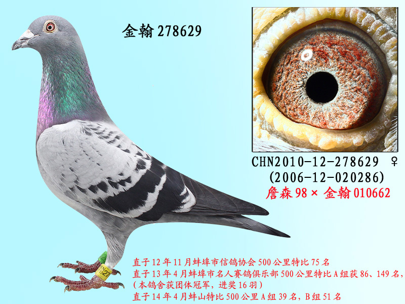 詹森邦德007 祖孙配出278629