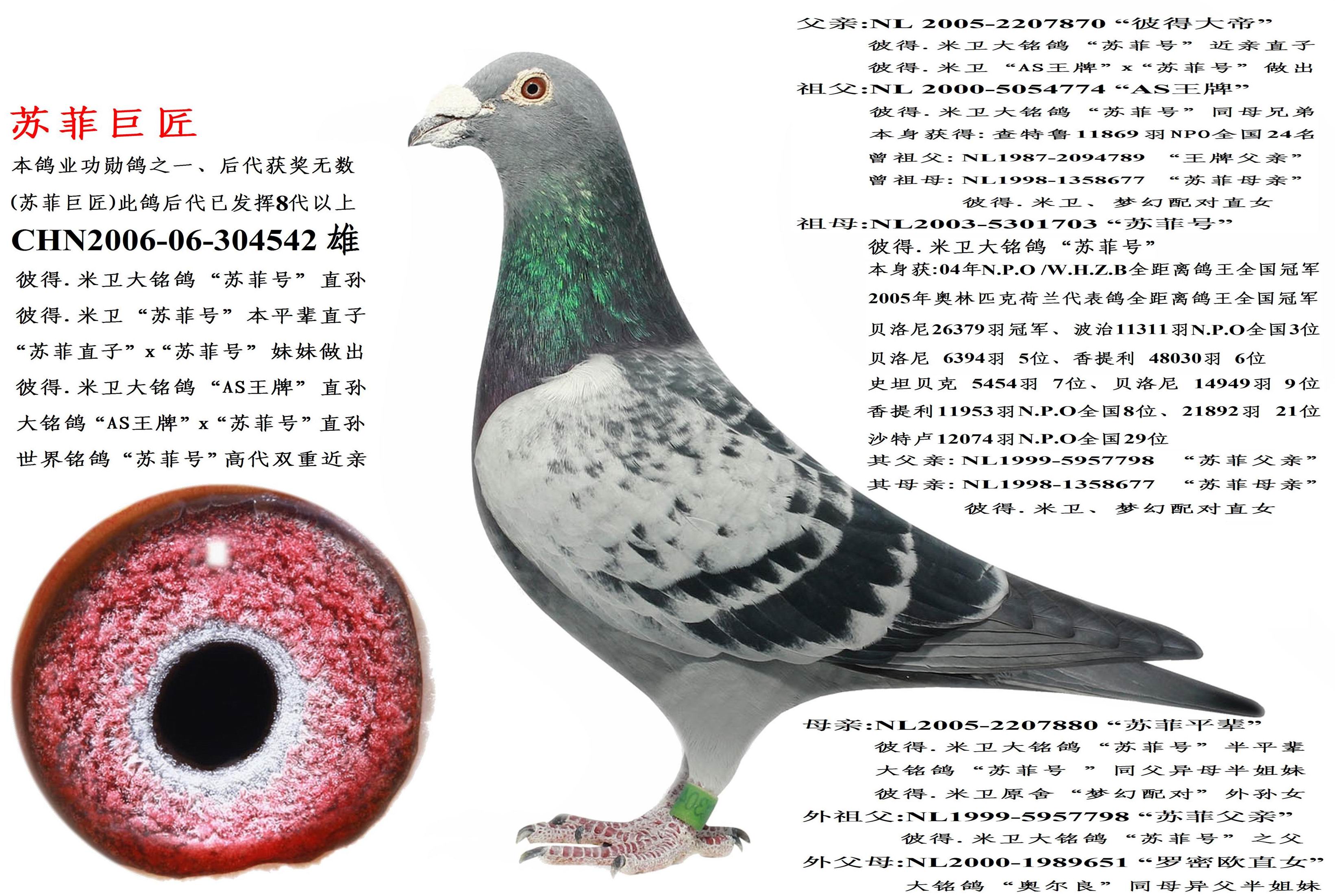 "苏菲巨匠"