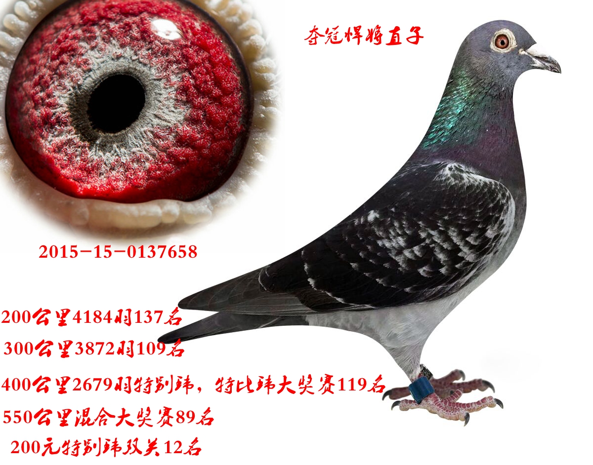 ֱ