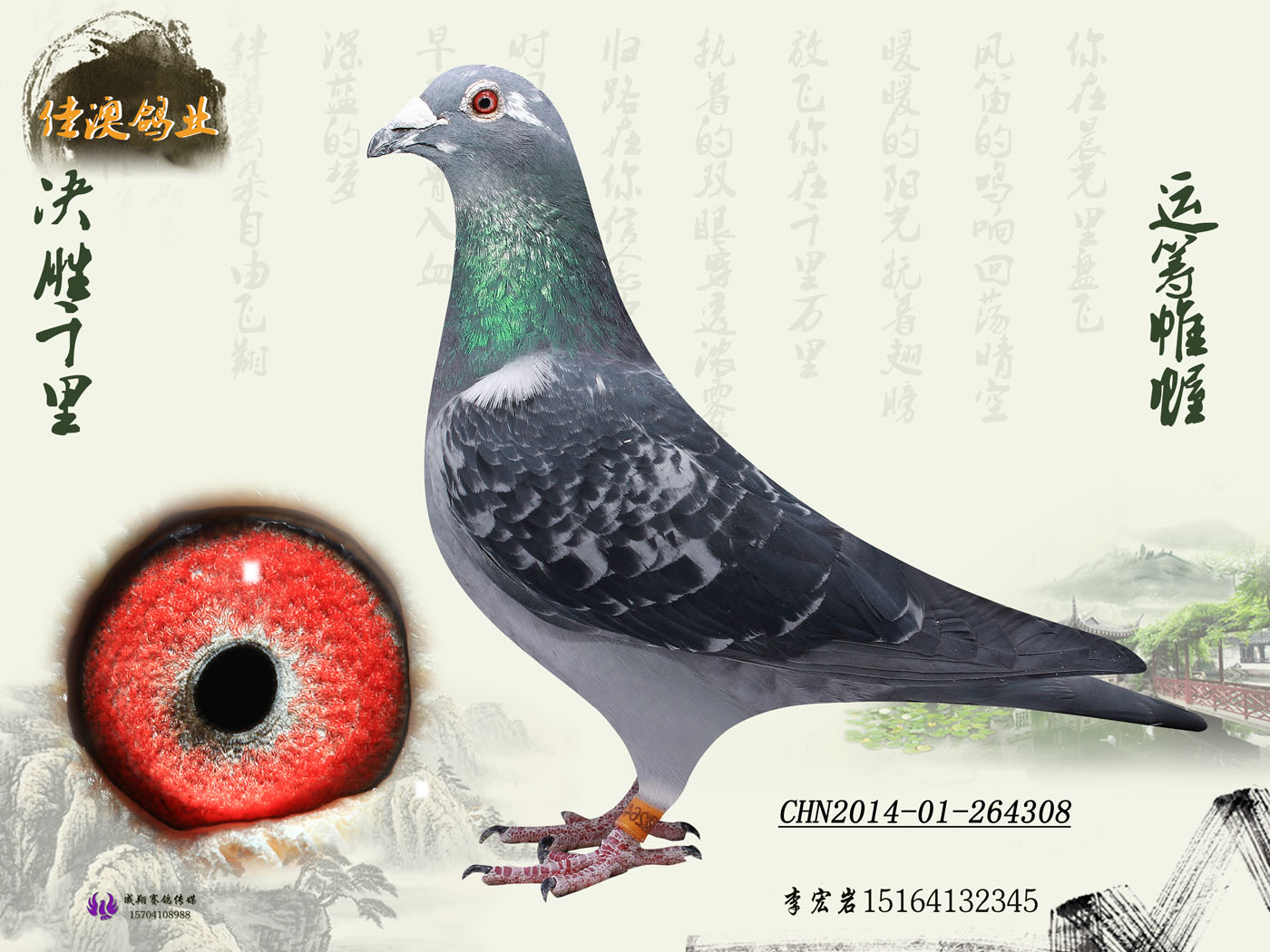 乔斯佛卡门(巴可*凯蒂)