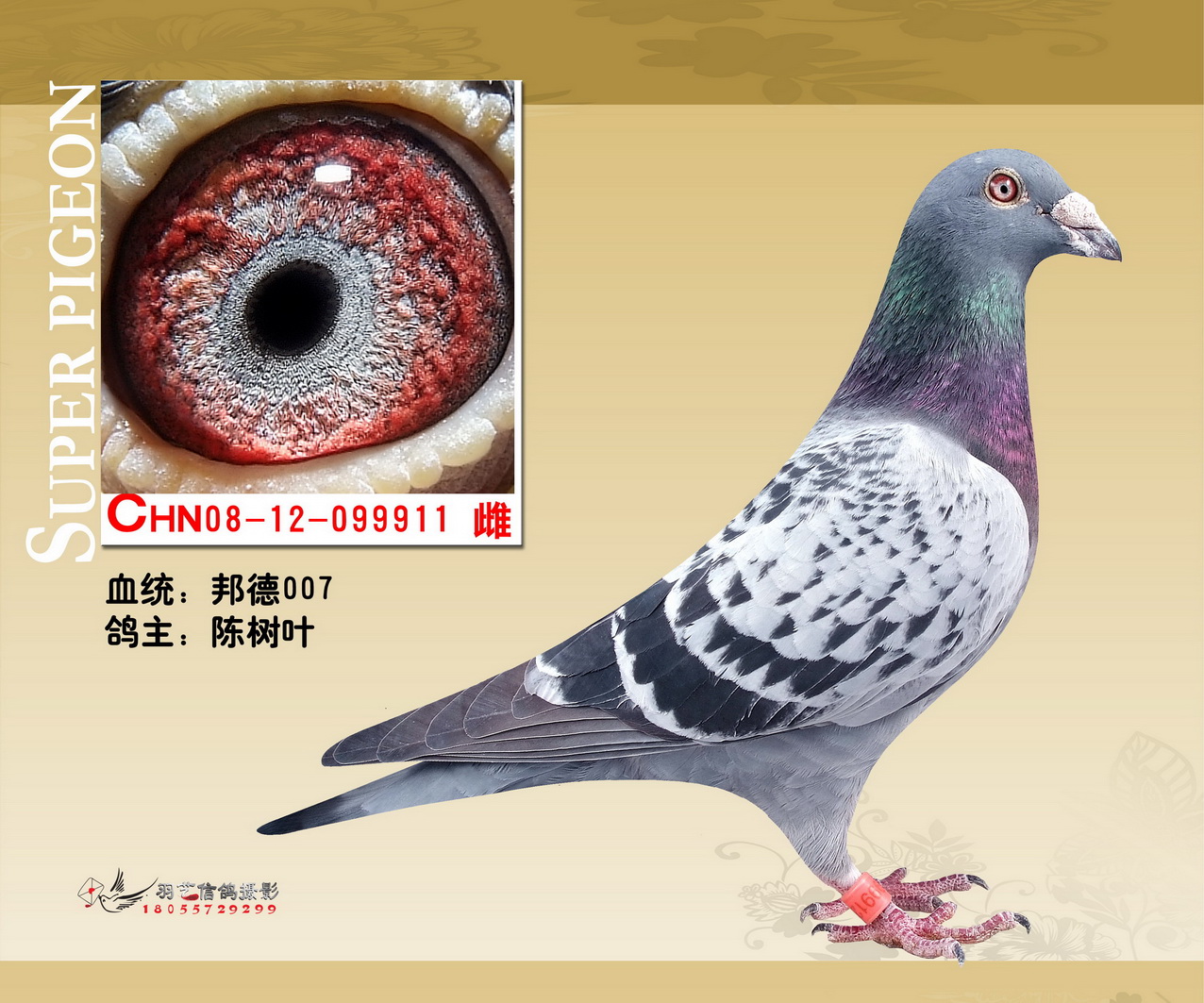 邦德911