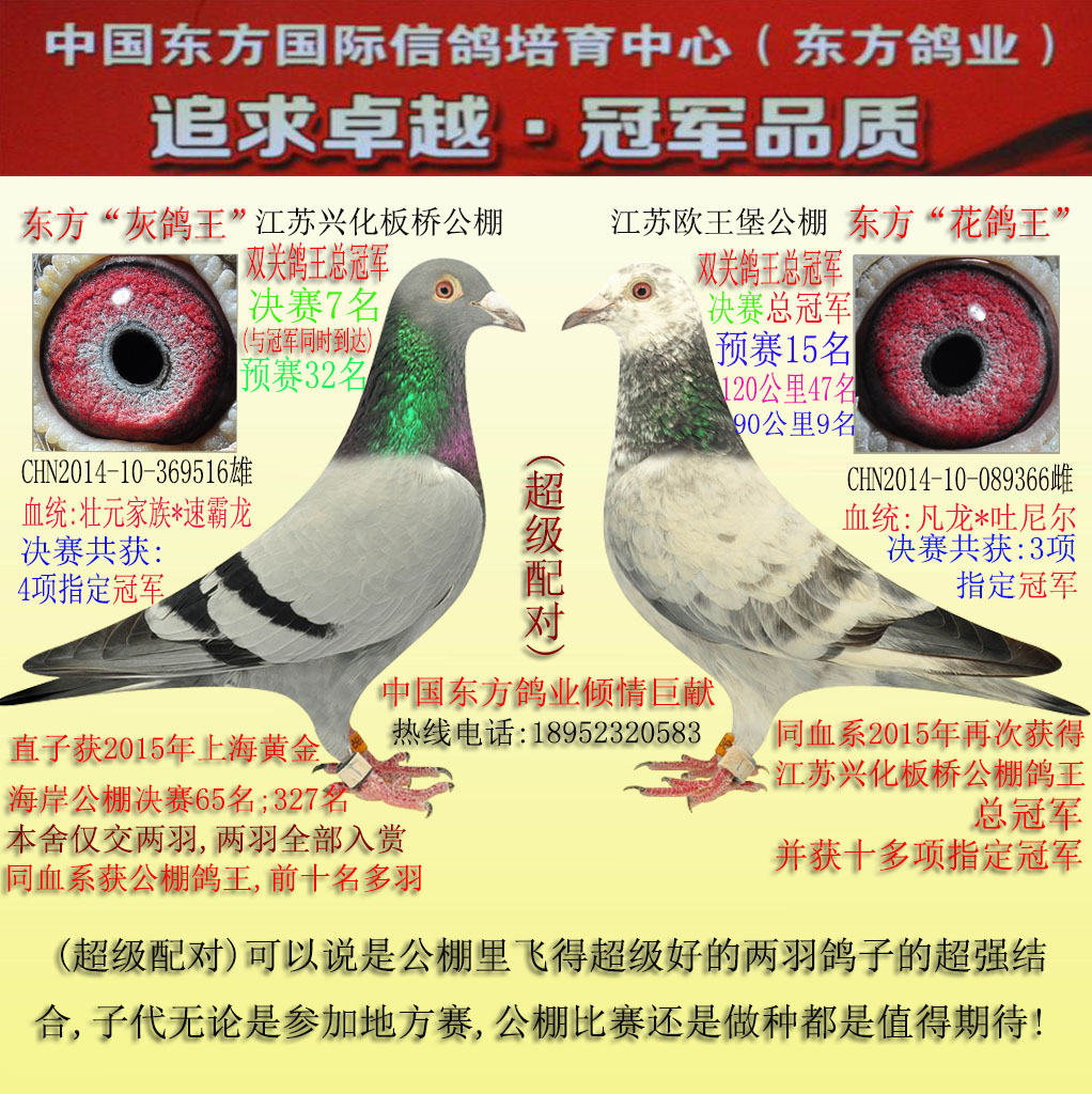 超级配对