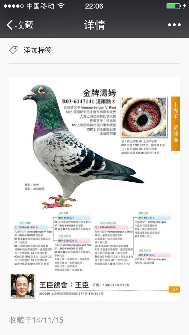 汤姆021