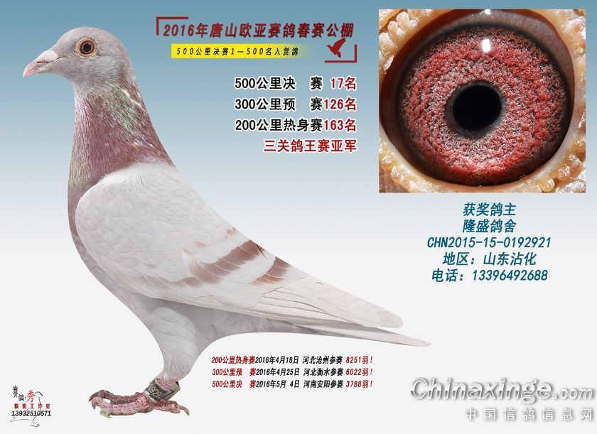 ŷ�����ظ����Ǿ�����