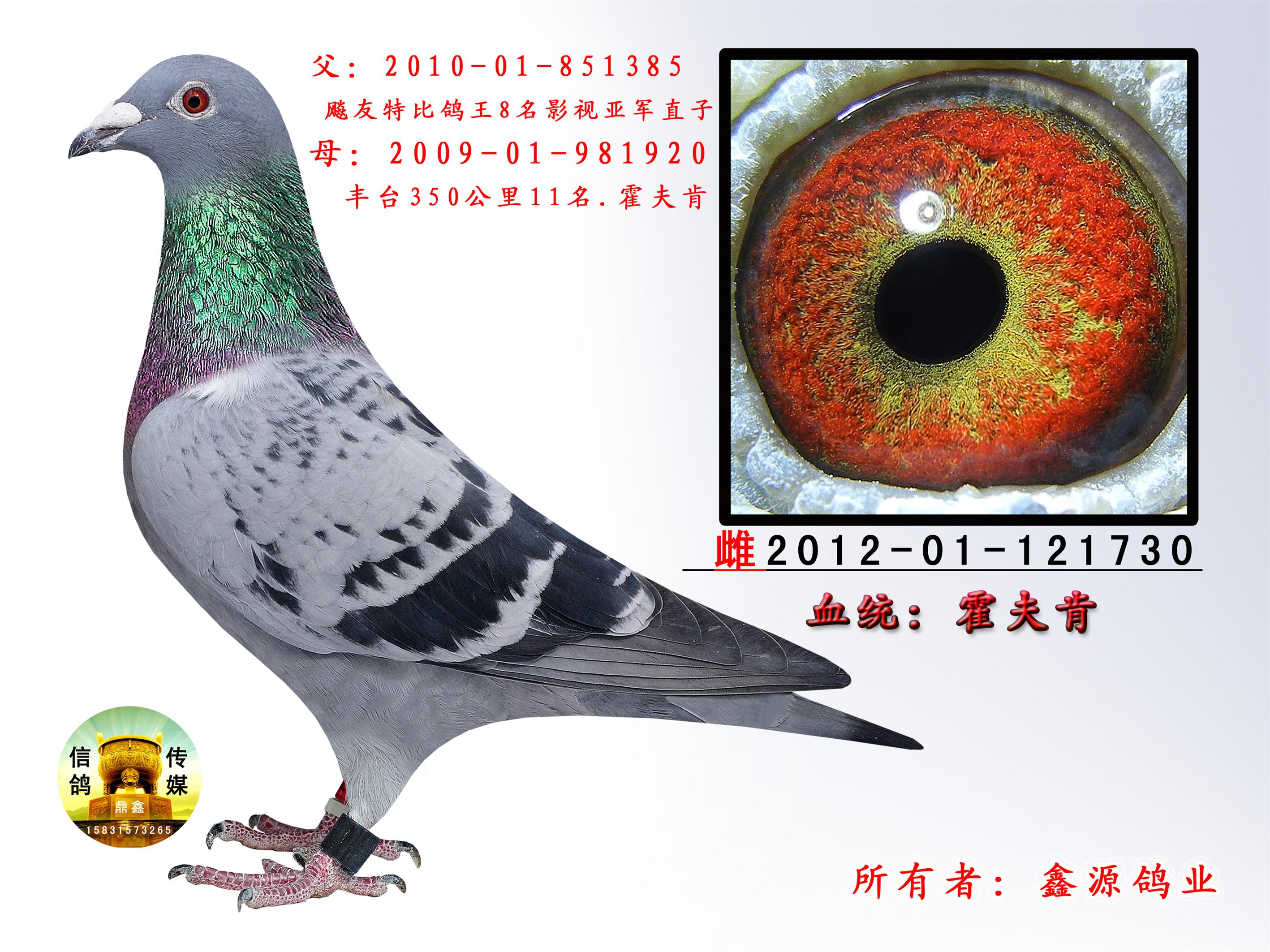 霍夫肯730