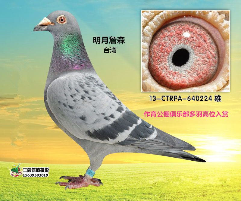 明月詹森