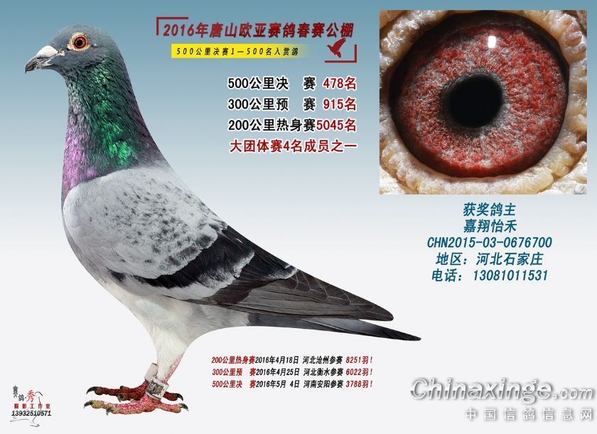 ŷǹԱ